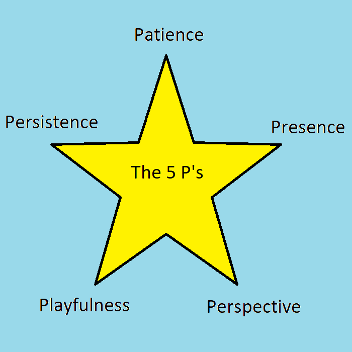 The 5 P's of IFS in a star.
             Patience, Presence, Perspective, Playfulness, Persistence