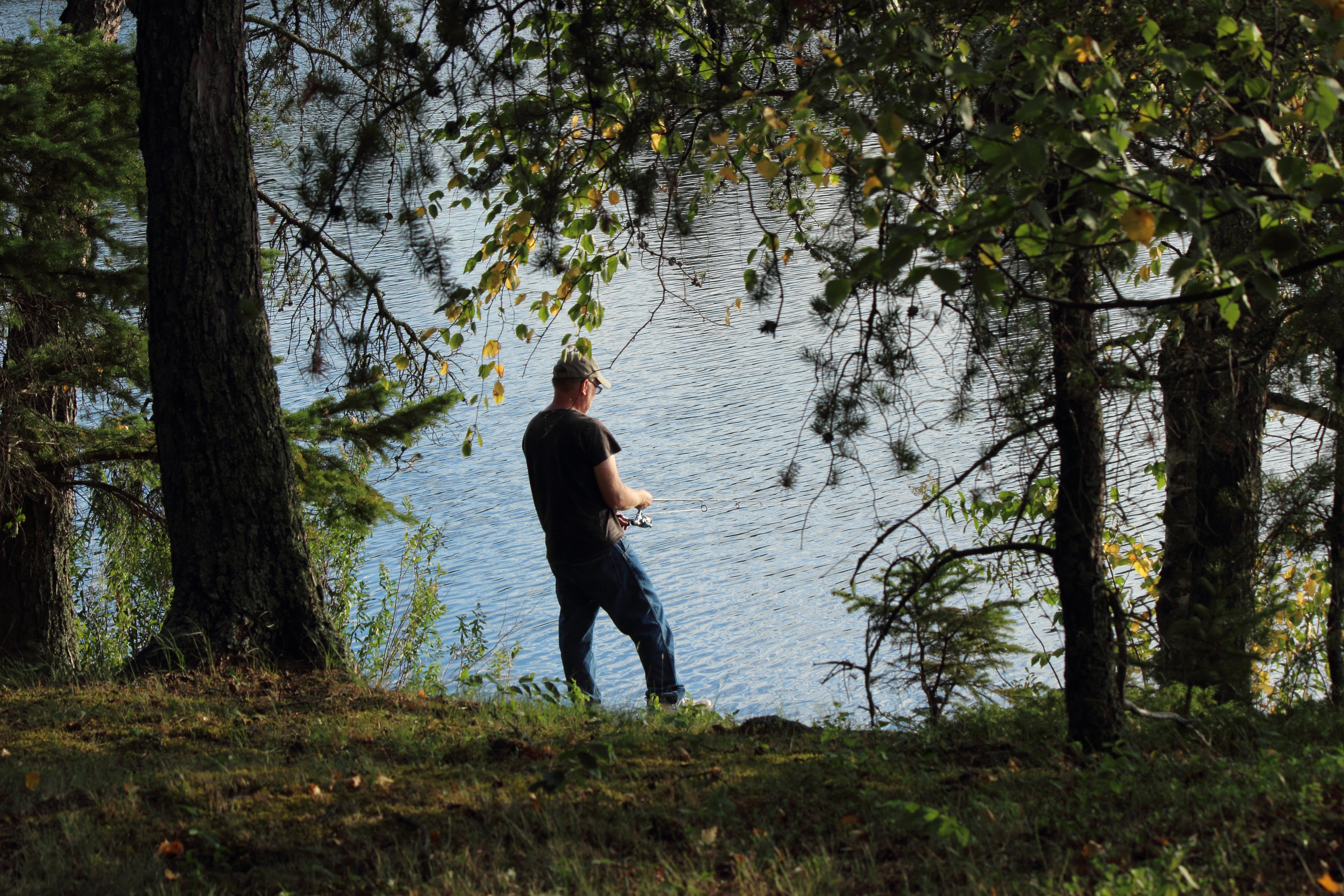 a man fishing from the shore of a lake