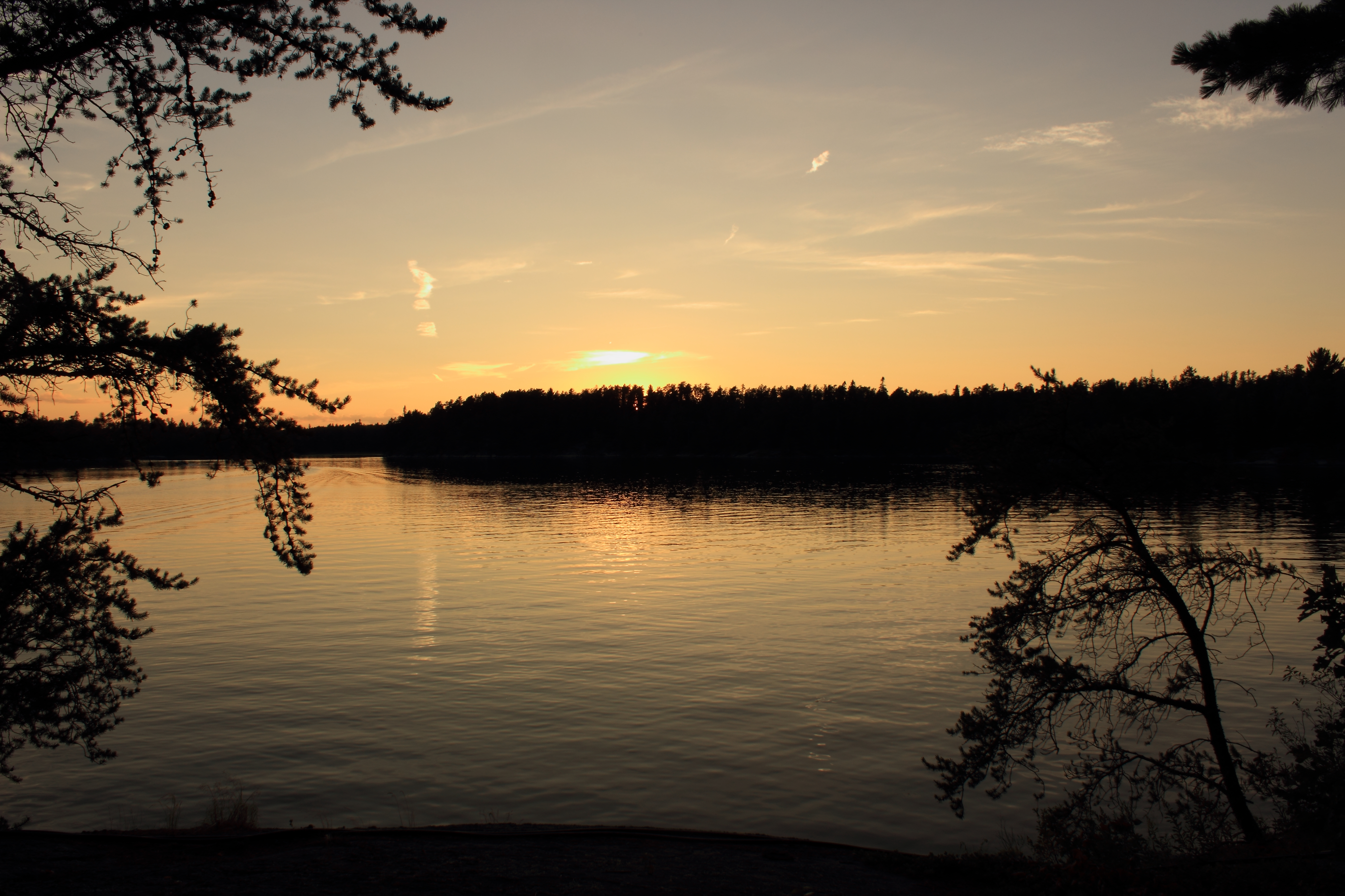 the sun setting behind trees, all reflected in water 