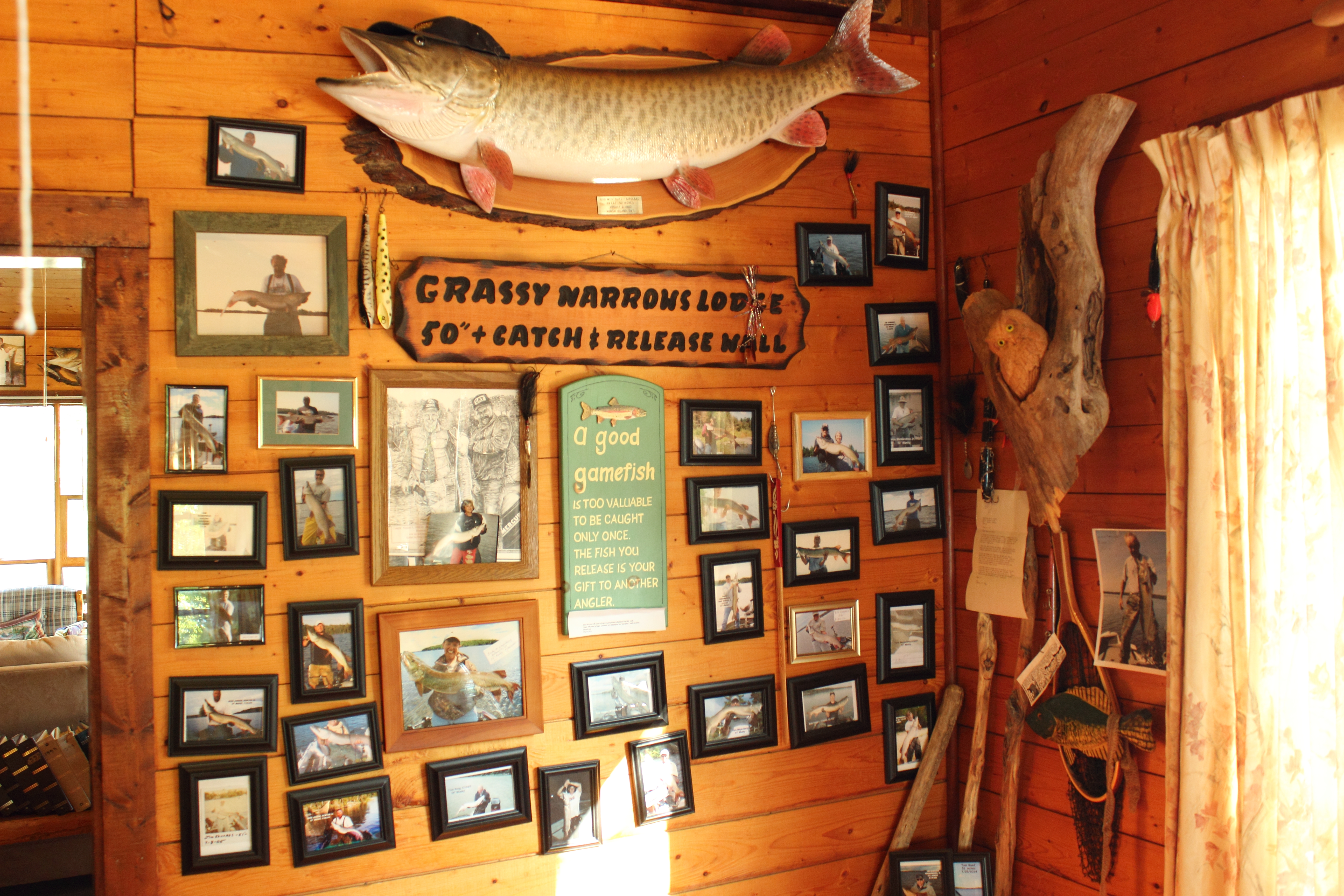Fish and fish pictures on a cabin wall