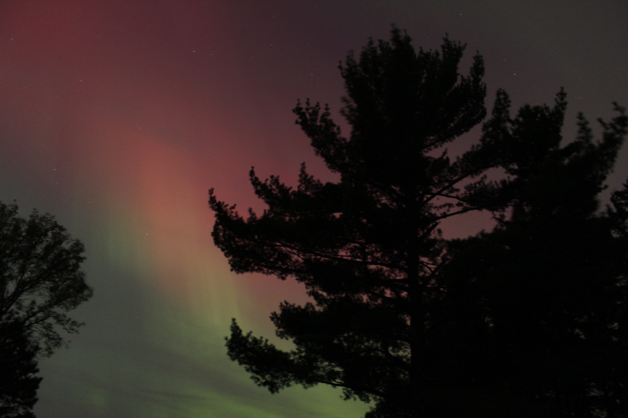 the northern lights fill the sky